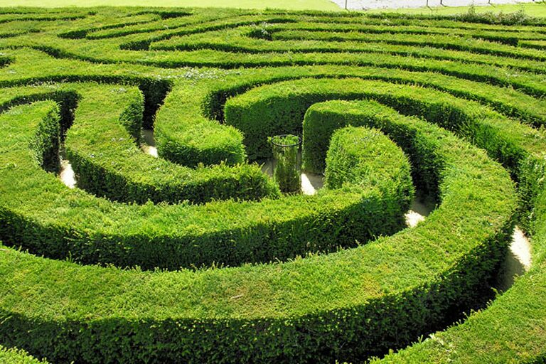 A winding path through greenery, representing navigating the utility market