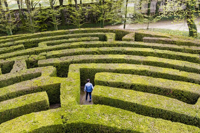 A hedge maze representing the complexity of finding the right utility deal